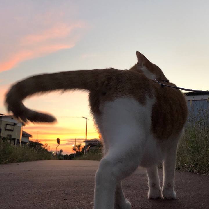 2365a221 c5b8 425f 88f0 09fea7f67007 1539603322104