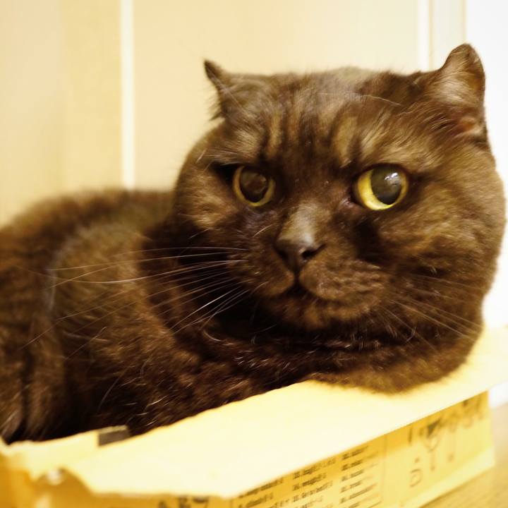 2365b92a 52ab 440b 91f1 58a625c6ad48 1633619201797