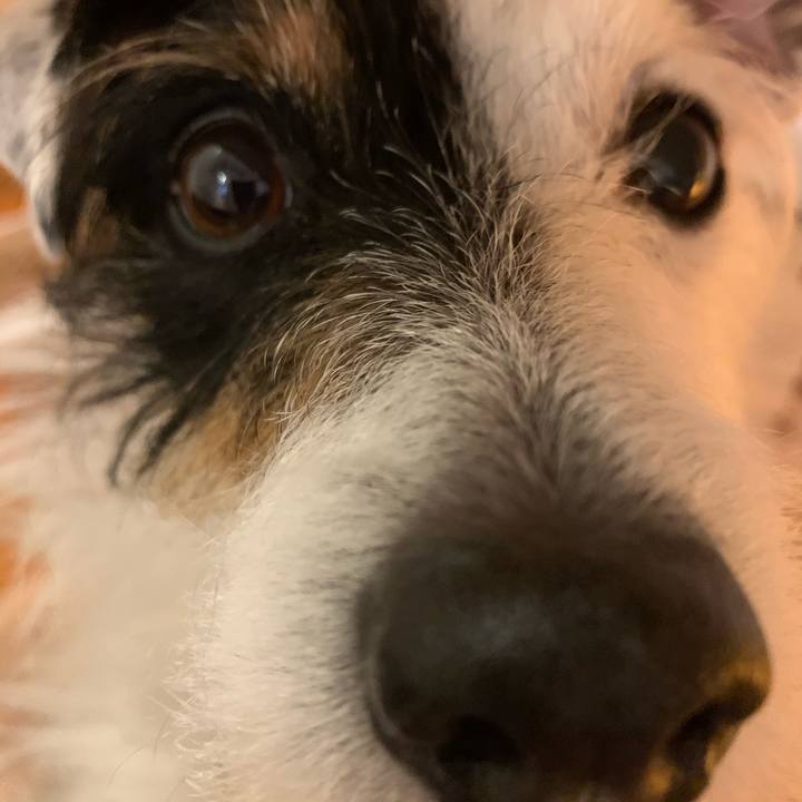 2365e56a 6e71 4e27 acd5 7cf5f0232ef7 1616417522306