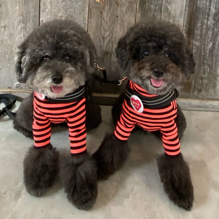 2365ed08 c3c7 4246 bc03 0e96832e8582 1633442565017