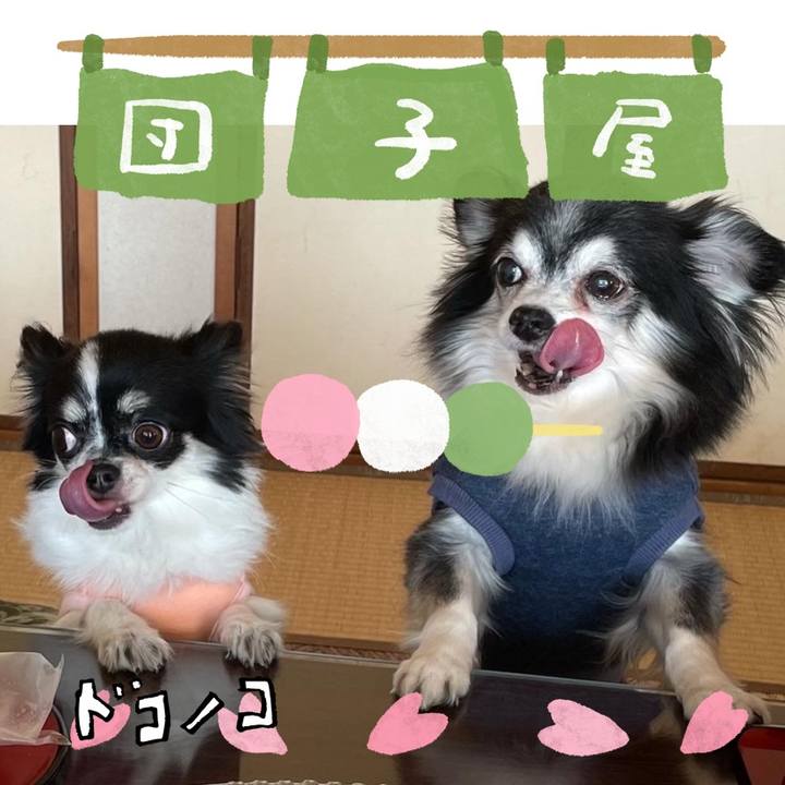 23663fb9 b960 4c8b bb01 424093d16b39 1712218003155