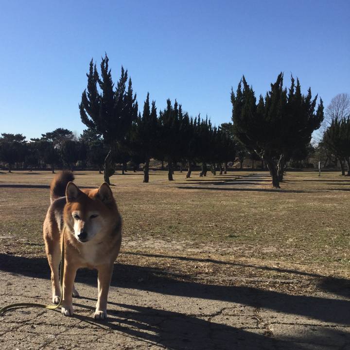 23664563 0ee2 40b8 a9c8 f173d1c1dcef 1610088440568