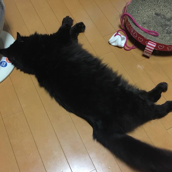 236645c8 cebc 4f7d a3a8 c71b7215f0b9 1572716638363