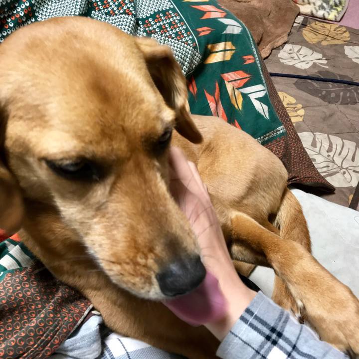 23669545 9bab 4894 9c3e a97fe2eb7ea7 1521329796251