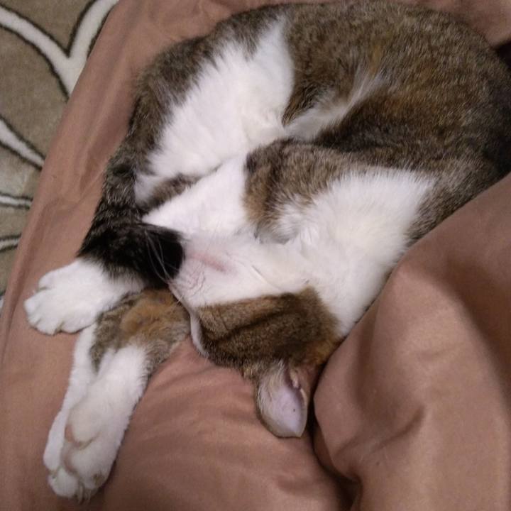 23669b01 2542 421f b809 070a53781f40 1517745691310