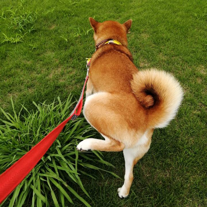 2366e615 dae6 4544 8041 cefc2885ee5f 1659692281163