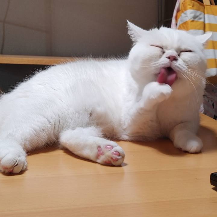 2366f24b 1328 4c45 9f9c 7c05c12414ba 1634378113592