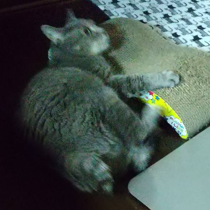 23670646 4c99 407b b39f ce96e4dcab01 1665657051769