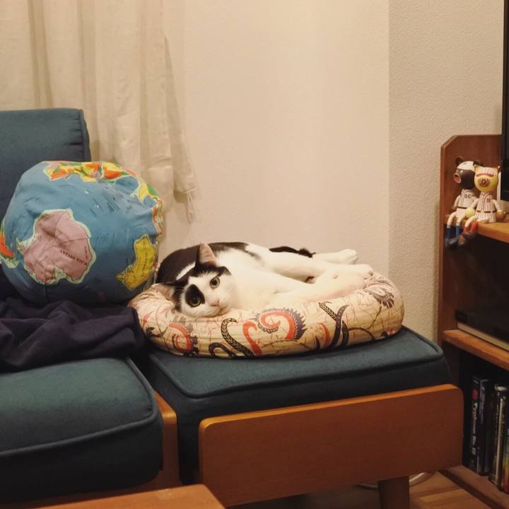 23674d99 04b6 4b64 9d59 4a98036cdf73 1579530914462