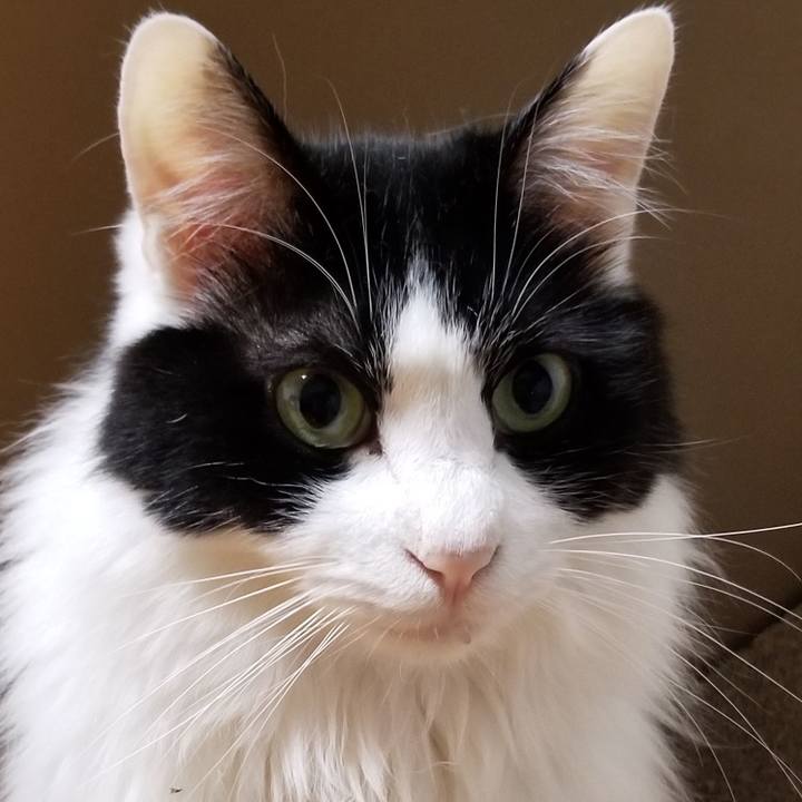 23676d12 f994 4c21 89cd b9ee51c6f5fb 1556316170218