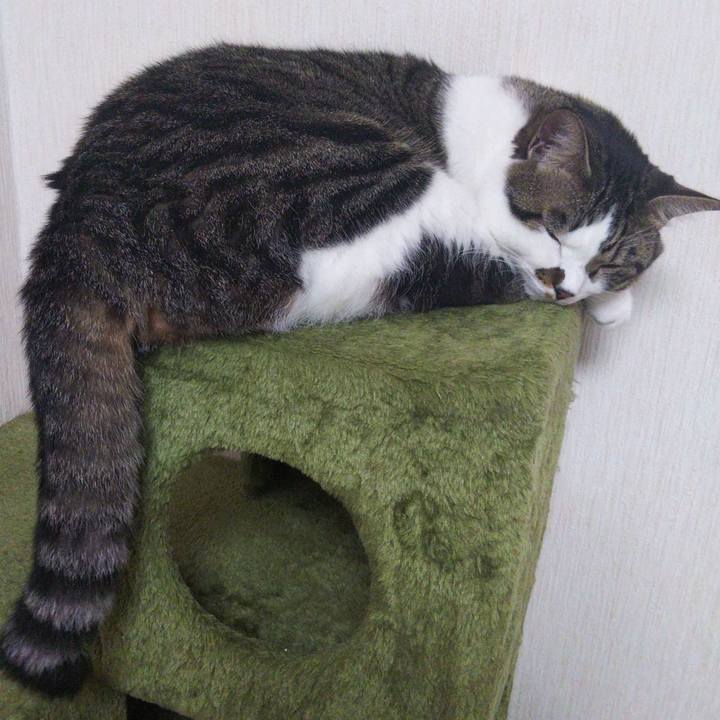 23678137 4b14 4e0b b3d6 7994ec49366d 1661219457420