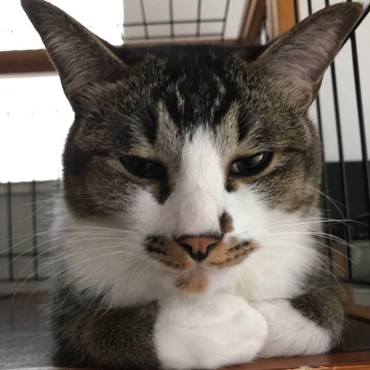 2367a478 1ad0 4475 9438 0cf936722d11 1527751261428