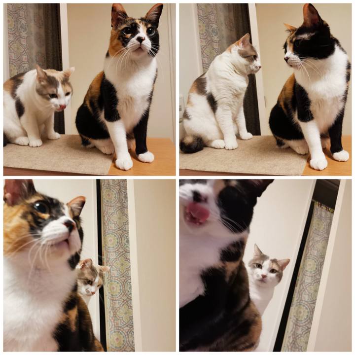 2367c2e1 044d 48a2 b9ca 9e329712e3d0 1681444011401