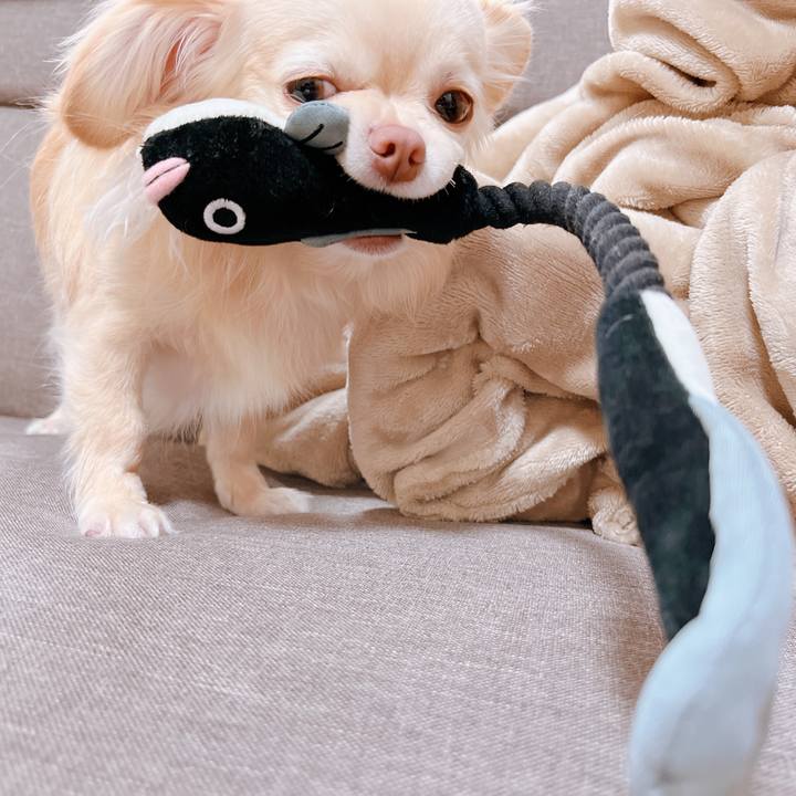 2367c876 b62f 4bf7 9b8b 547d9f50187e 1652613242172