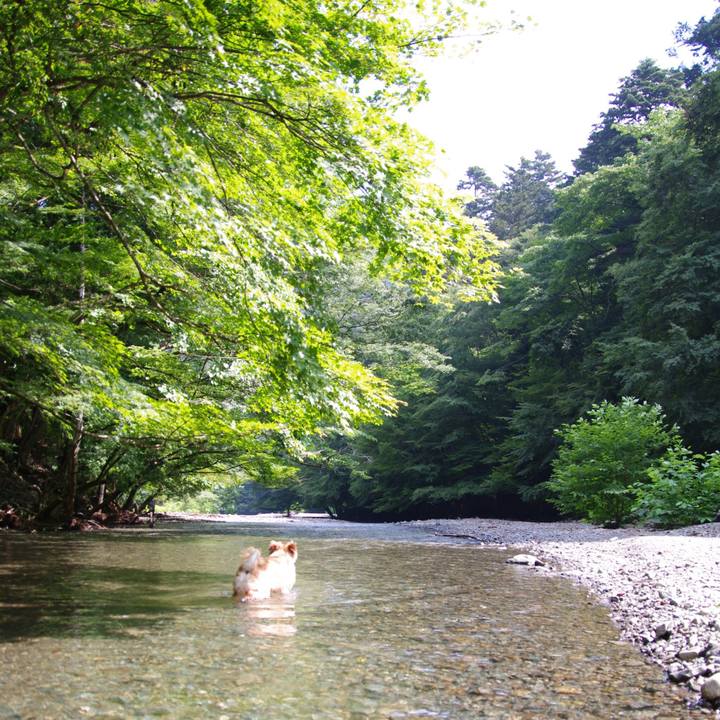 2367d27e d968 440f a894 29e55945eb9d 1531737271165