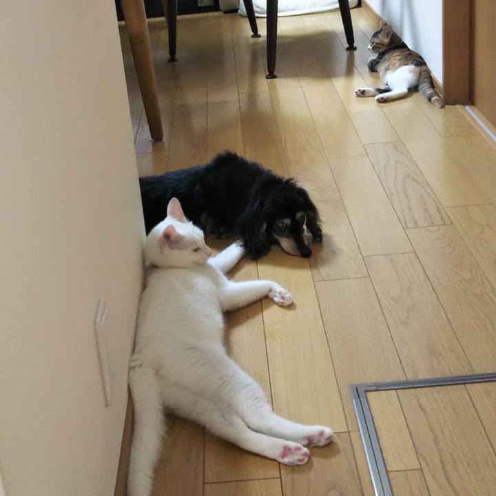 23681252 9534 4dc6 8e3e 0a7090795eb0 1628630271666