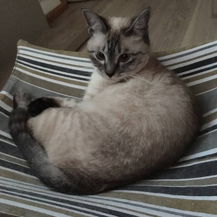 23681a8e 4052 47f2 9d97 974a890ab930 1593424980439