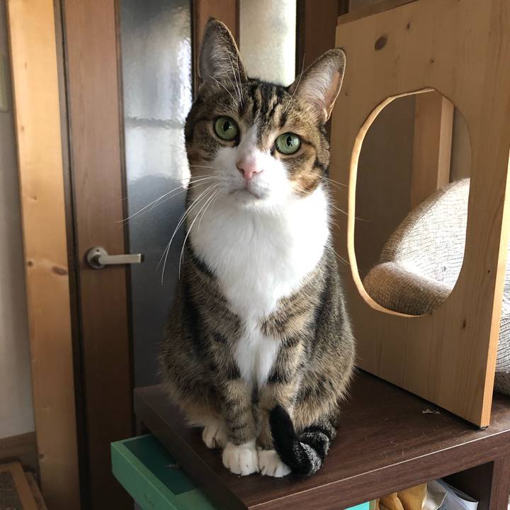 23686565 dc7e 4ee4 8a65 24803e3f8a8a 1604295526884