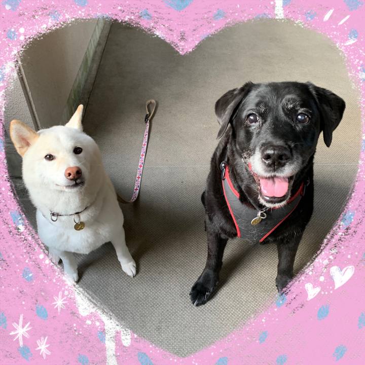 236899bc 2099 4ae9 9c79 7a81bffdd210 1601679449653