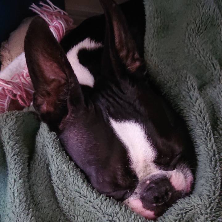 2368f54f 0b0e 4b9e b2d5 35bdc58d0b88 1635387555435