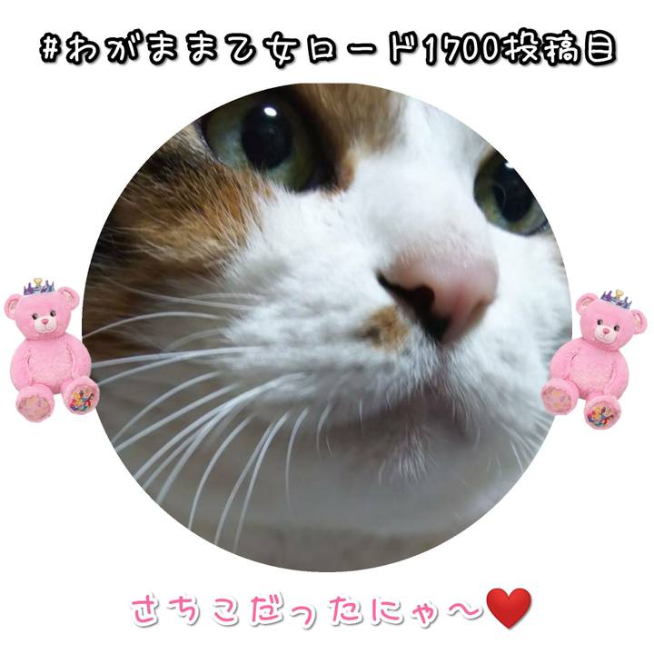 236909b9 e2ab 485b b466 22836b2151a1 1575276303211