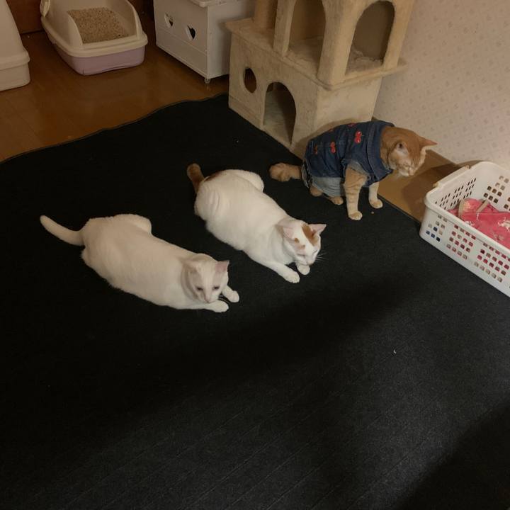 23691e52 8956 47d6 99bf 08432f7fb1f9 1663681213031