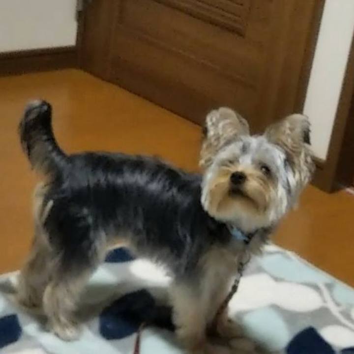 236953e7 5464 4663 a436 edf96b2f653f 1540288372562