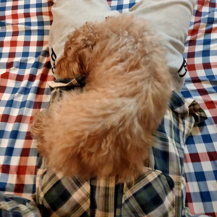 23695409 0ca7 4673 b0c6 9c823ac45fc9 1610318045752