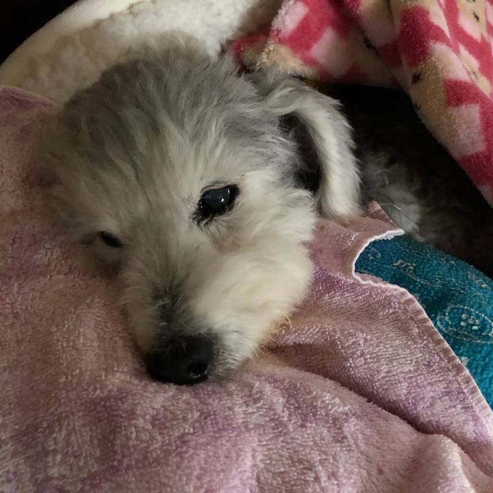 23699852 1087 4e31 ba76 f76c7d673c49 1669454057534