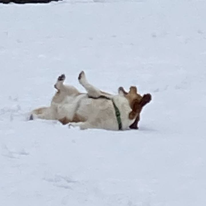 2369a2db e583 48c6 af77 248c7d865c14 1707185455225