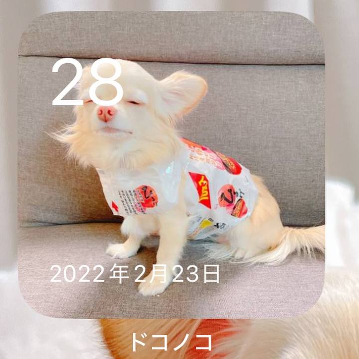 2369e2de 6600 4363 8c21 2f88c16d6c56 1740744342997