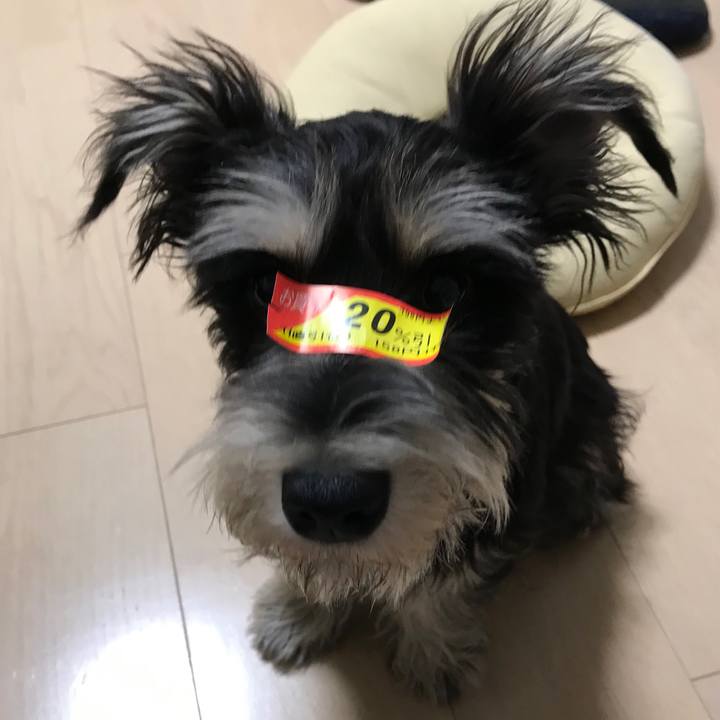 2369eef0 c132 4d60 9c65 df1613a1964d 1555079450929