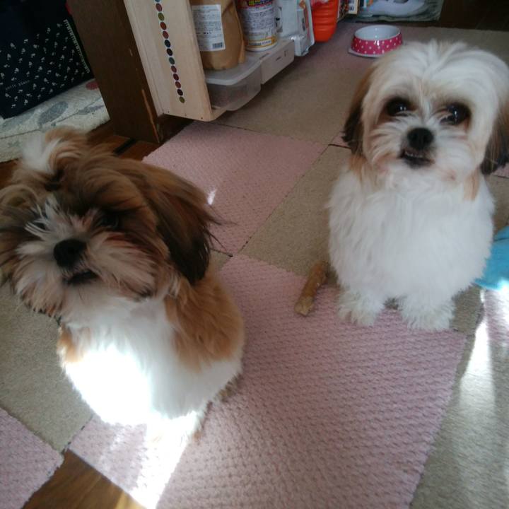 236a5343 b652 473d a08b dab7f1dc452a 1546237482237