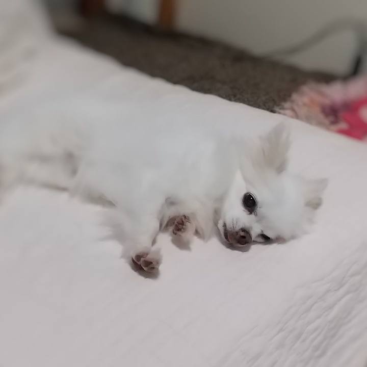 236a59c9 e3d1 4c2a 84d2 802deb6176fd 1659829969388