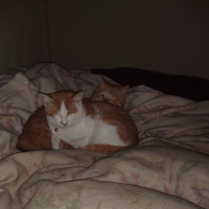 236a6316 0a90 495c b2aa 7048db36253f 1741277872570