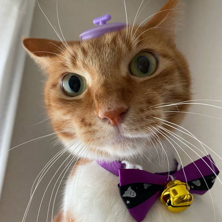 236a65fa 0248 4029 9137 84c15758383e 1666438138139