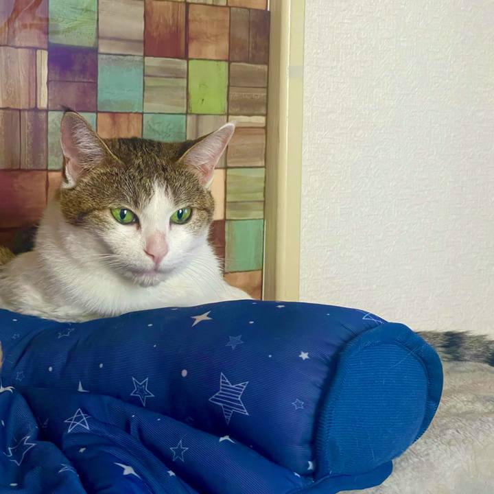 236a75c3 9970 456d 86e2 297bab514306 1629790336119