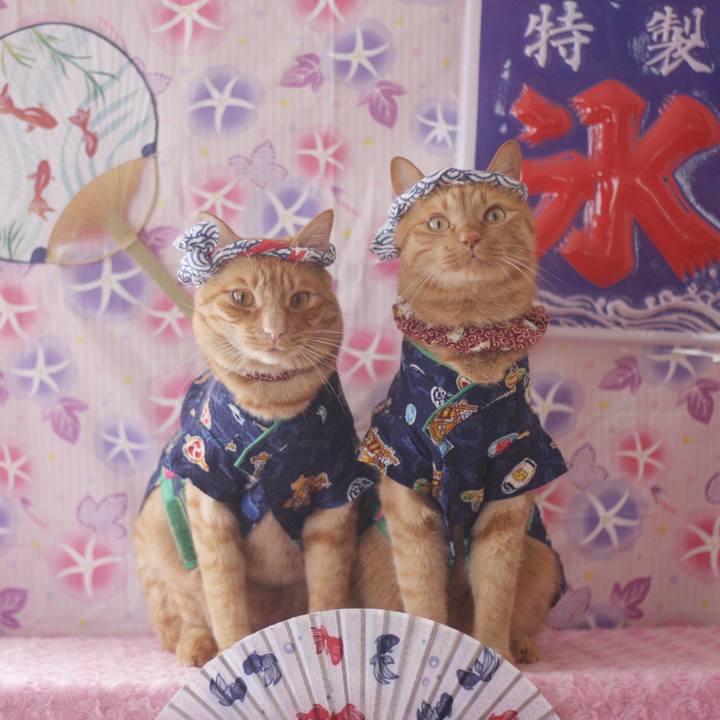 236a9187 5aa0 4fd7 8336 f41ce3e3c6f2 1721288437818