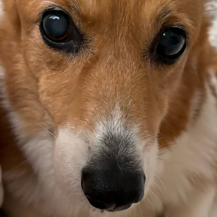 236a9400 d376 4229 9baf cd6f2b19f69f 1729380872652