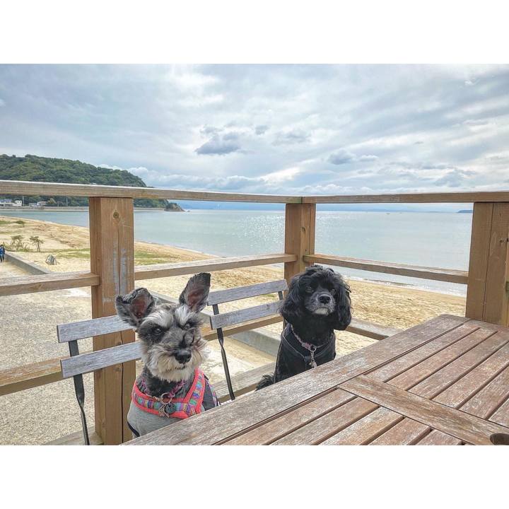 236aadb9 87a9 4d5e b70c e4c96fa97ef1 1665574945986