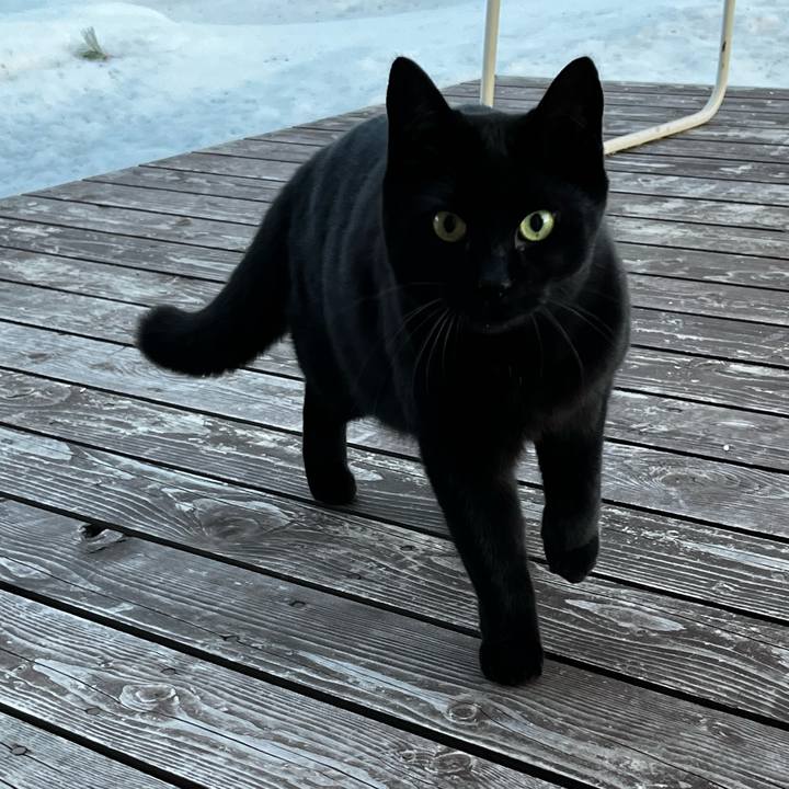 236ab2c8 37a7 47f7 8aaa 7ebe373311c7 1708242272319