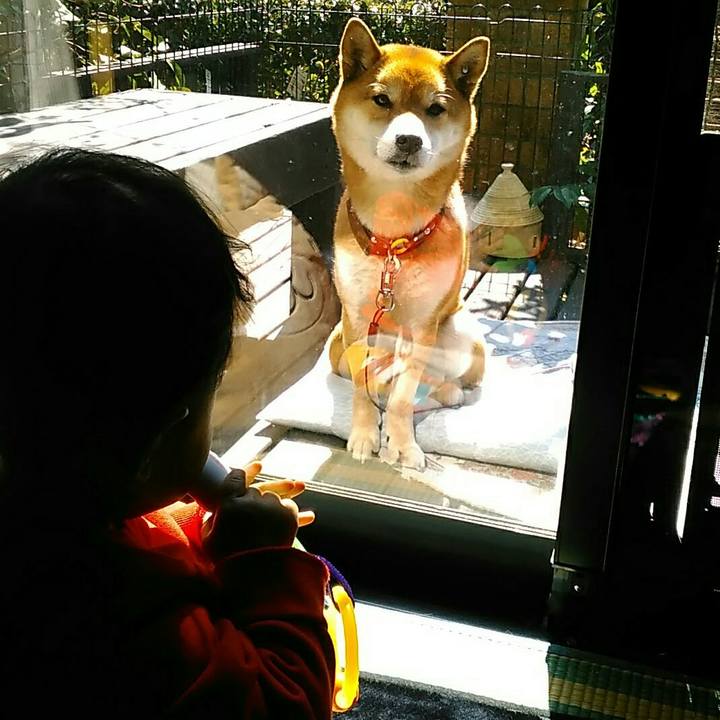 236b068f f020 4296 bb54 dfb09cc2e13e 1552444508624