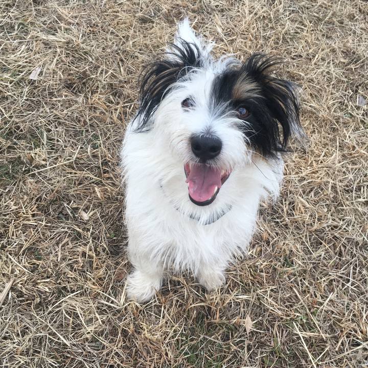 236b4394 e066 40f7 b737 c0db30937363 1517782283045