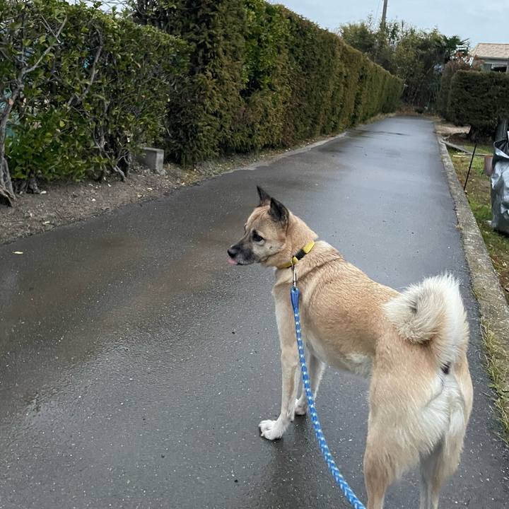 236b942a 26b9 40b4 b4e0 aa4ccc9cd42b 1640788925109