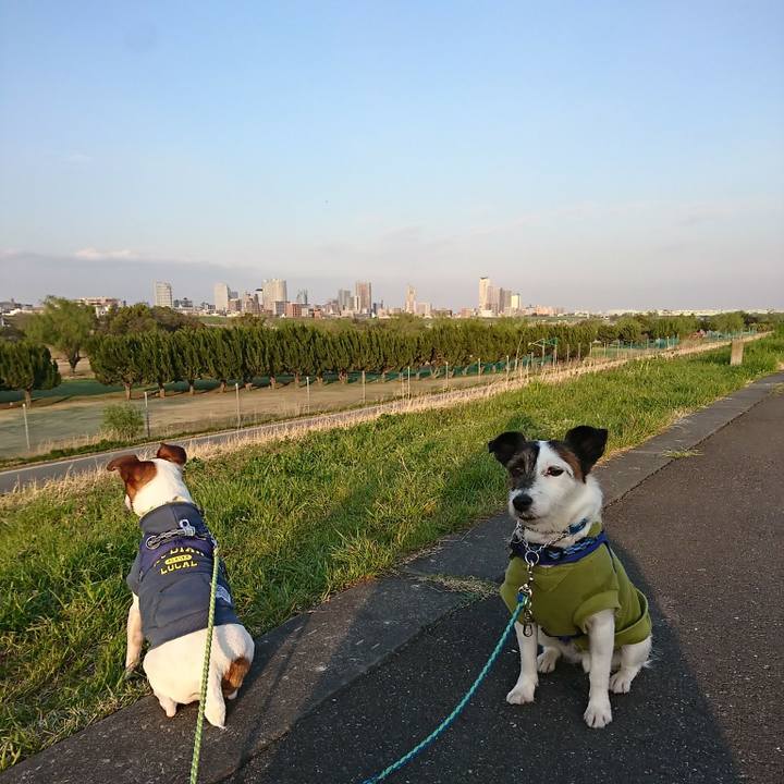 236bbee9 a94e 4f8f 8e8c 6e47e07fa135 1586253419606