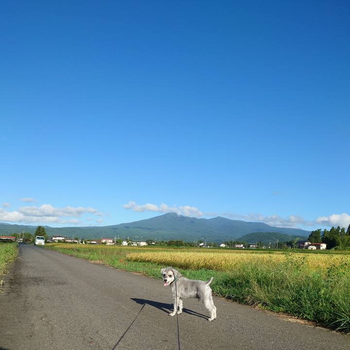 236c01bb 2a8b 4ac3 91ed 3dc5ee6aa9a4 1758237771100