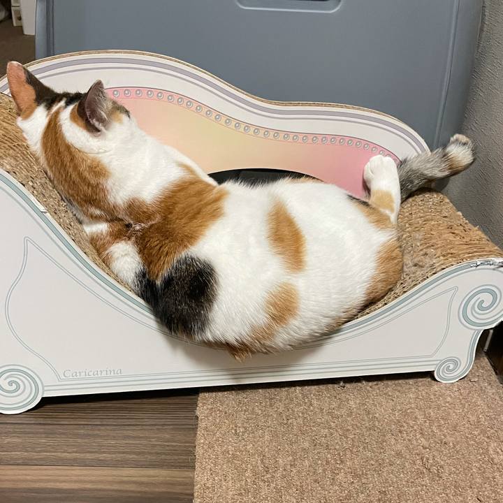 236c2a90 abdc 4811 a75c a7f9d15378f0 1622984464812