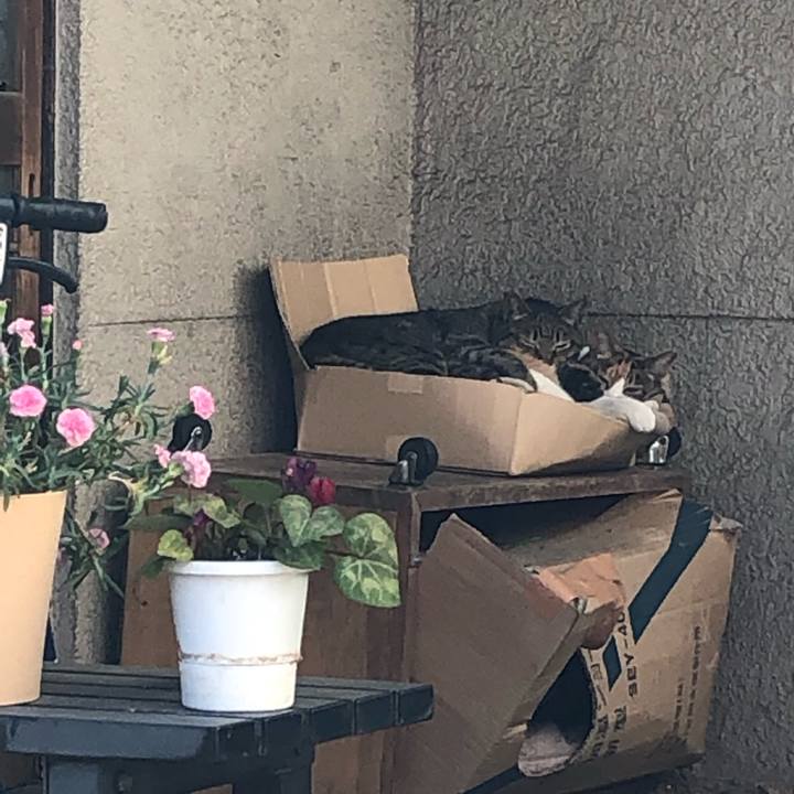 236c6a42 6a75 43d6 95bb 0c35b79bab31 1557536685176