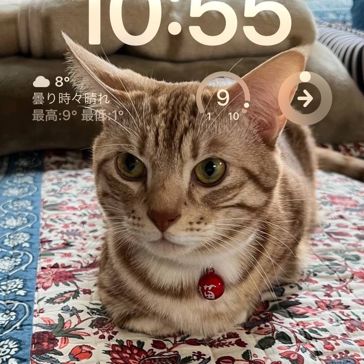 236ca9ee 9656 4d67 81e4 76d20010f4e5 1677290170480