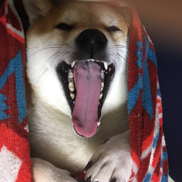 236cb963 5e1c 4a1a 8b41 34fd4e7b2d97 1537955141790